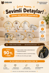 Şeffaf Kedi Hatıra Anahtarlığı