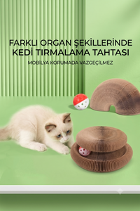 Akordiyon Kedi Oyuncağı