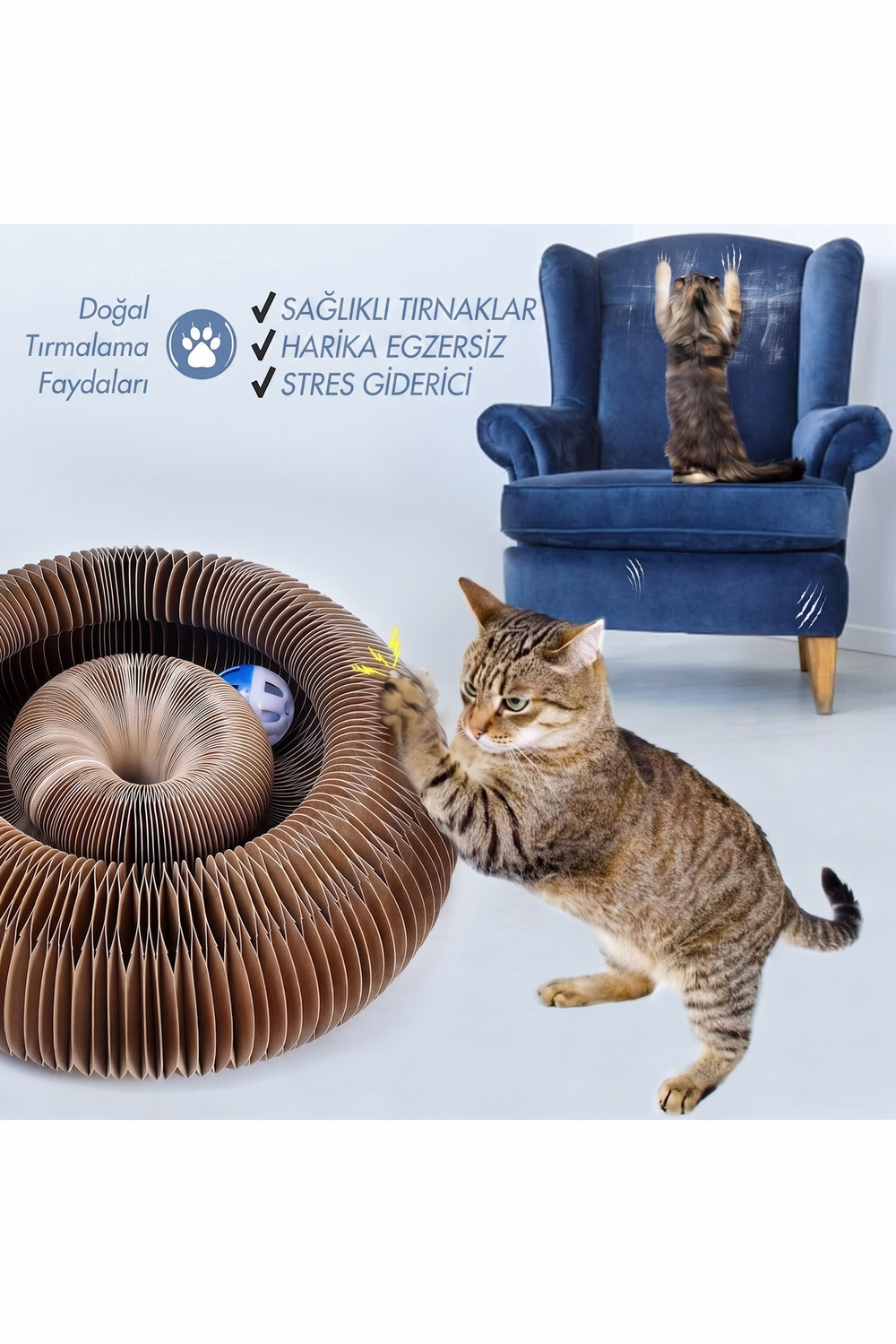 Akordiyon Kedi Oyuncağı