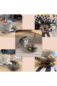 Akordiyon Kedi Oyuncağı